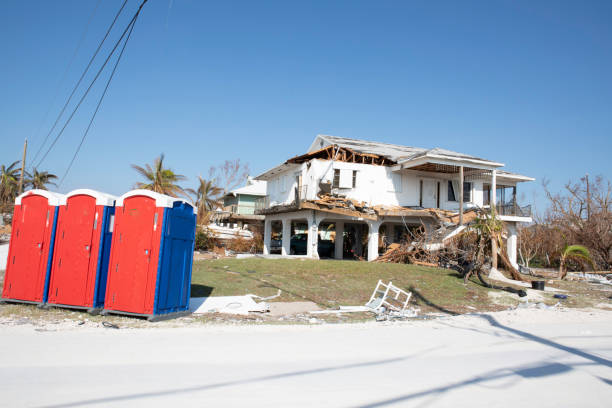 Best Storm Damage Tree Cleanup  in Sandstone, MN